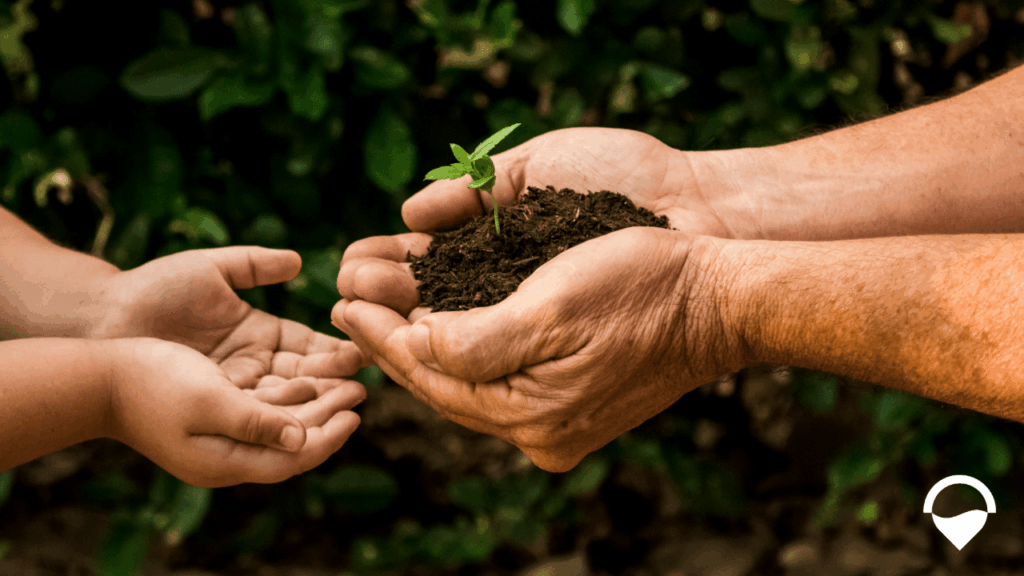 Learn how understanding the four phases of your financial life helps you make informed, coordinated decisions at every stage.